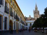 017 Real Alcazar vue sur la Giralda 