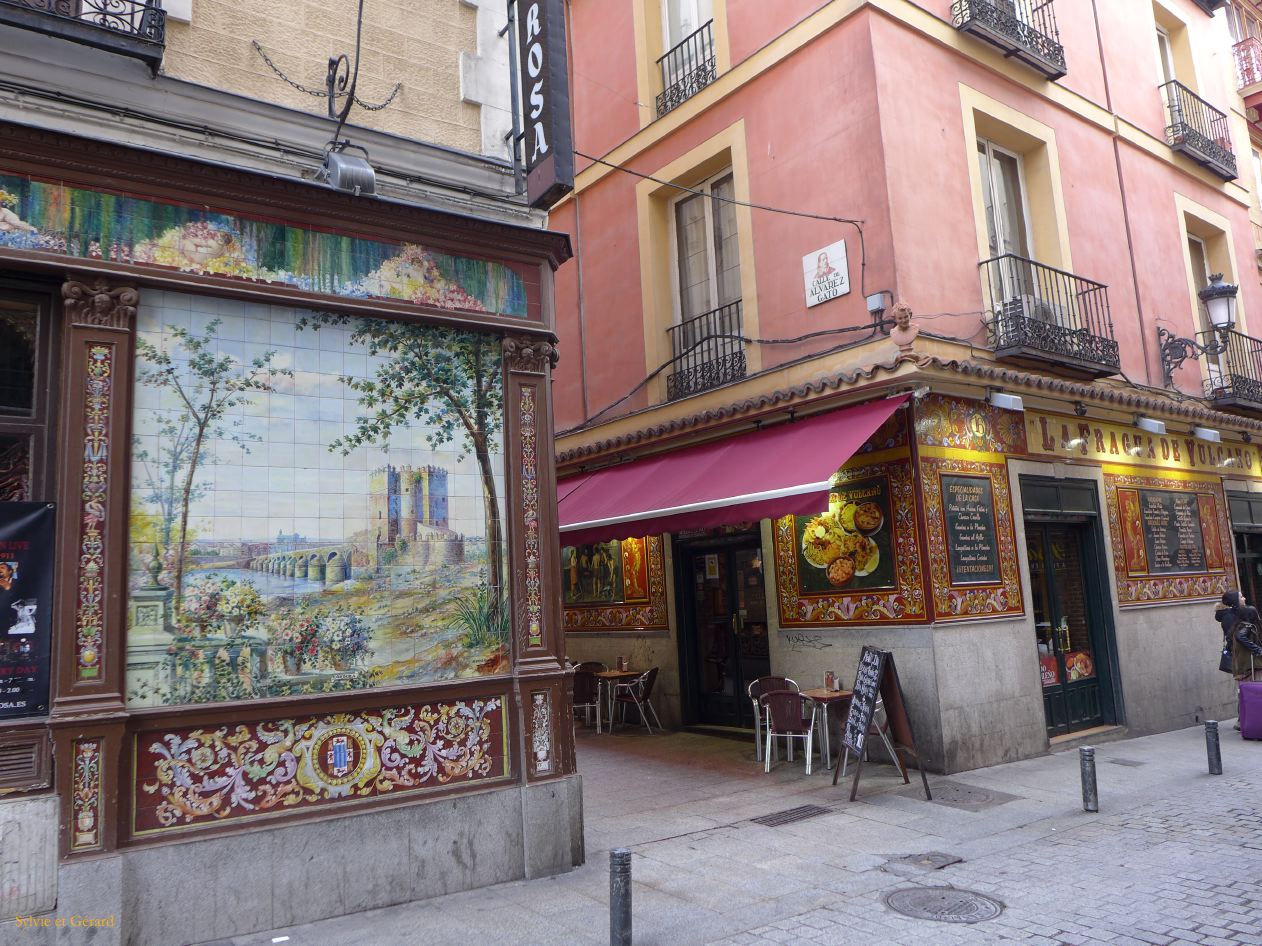 113 Centro Cortes