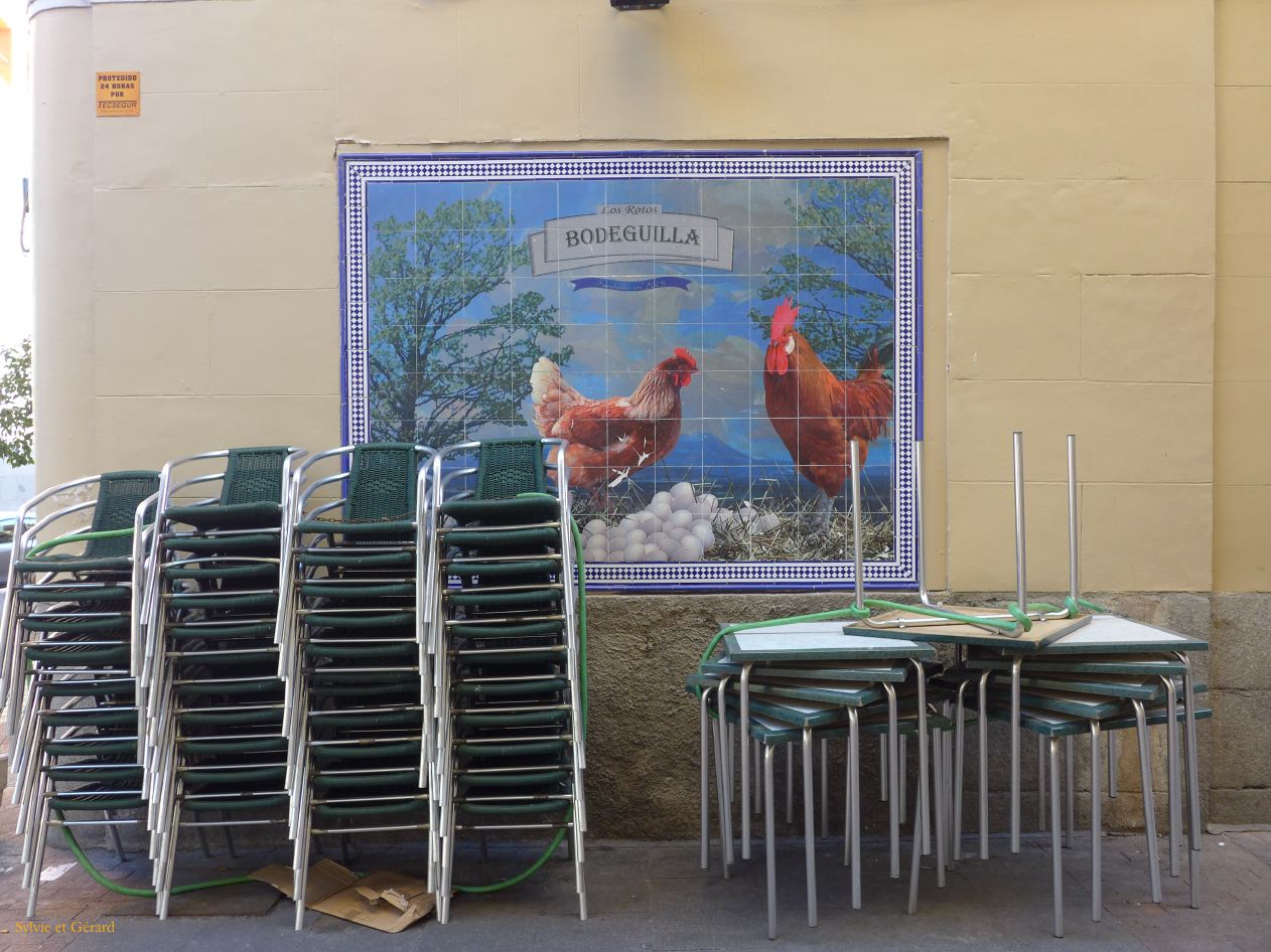 119 Centro Cortes