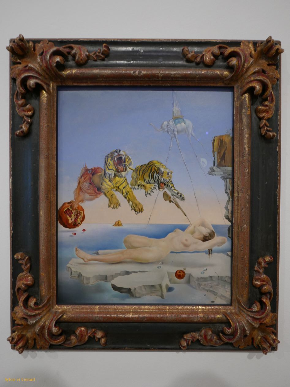 141 Museo Thyssen Bornemisza Dali 