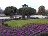 012 Parque del Buen Retiro
