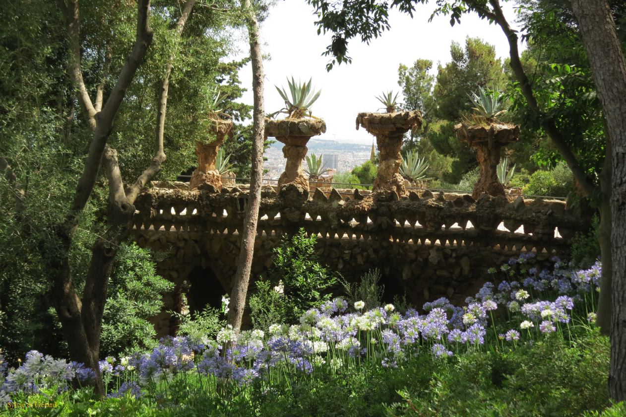 117 Barcelone L'Eixample Parc Guell promenade dans le parc