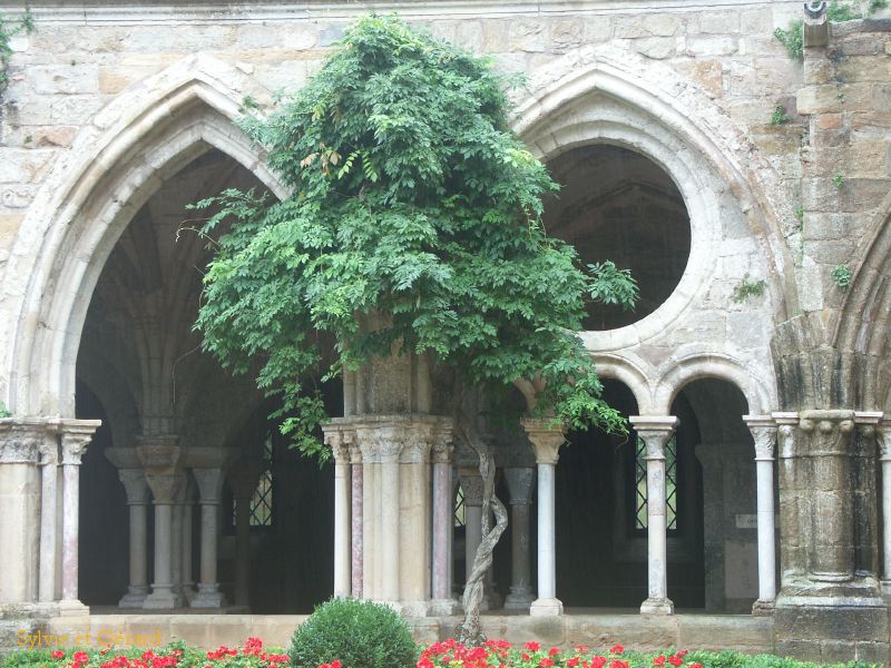 N 006 Abbaye de Fontfroide