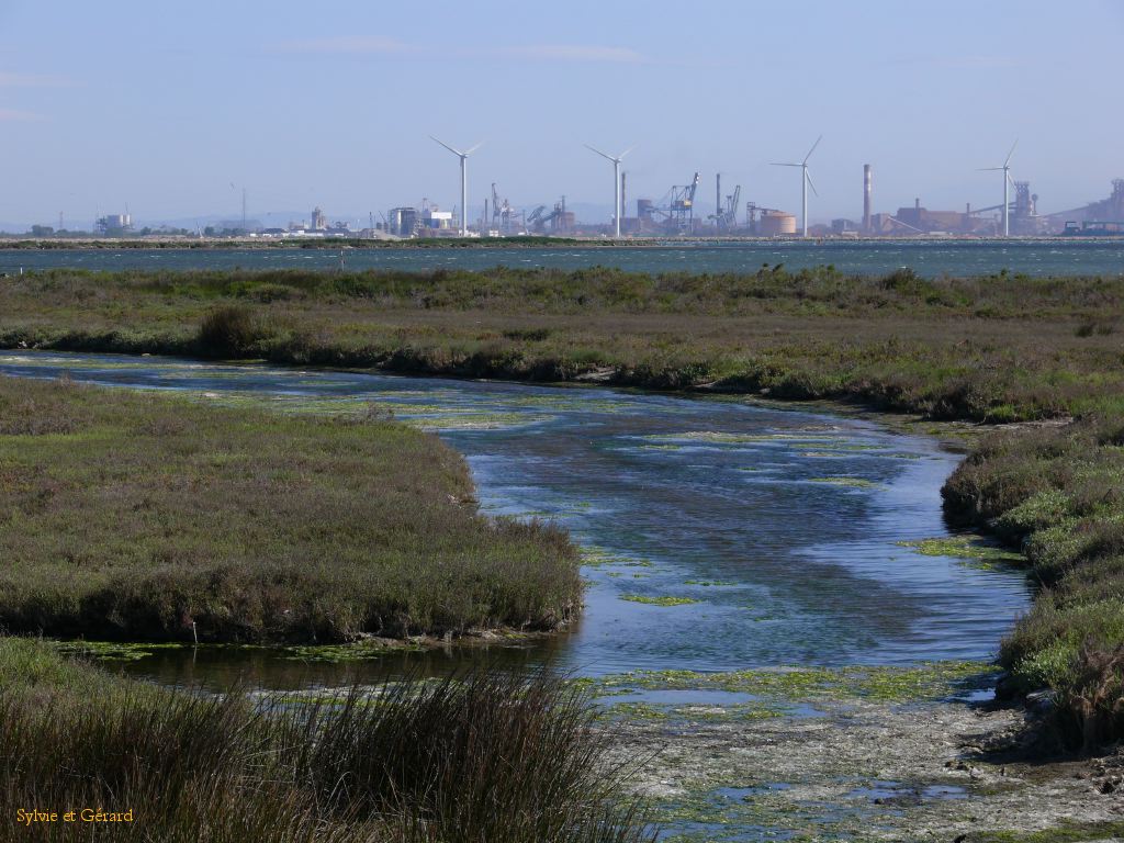 Port St Louis du Rhône 01