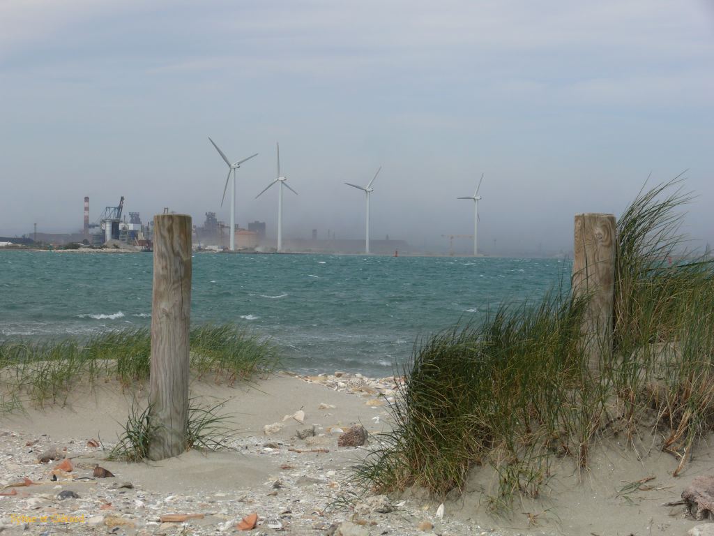 Port St Louis du Rhône 04