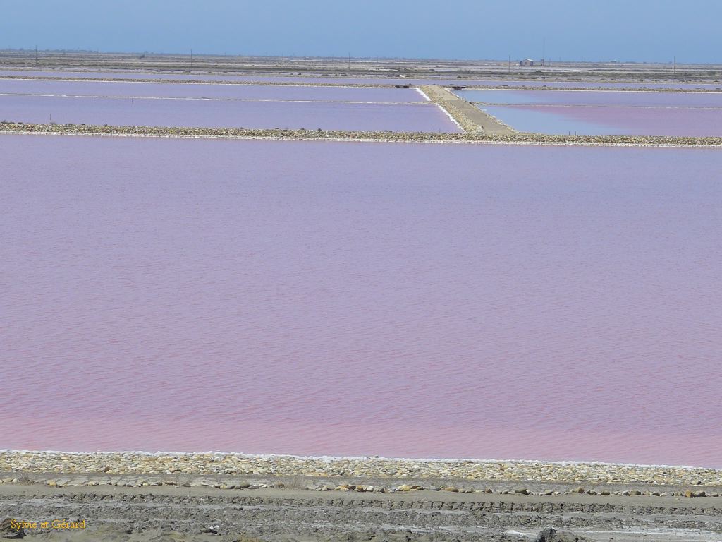 Salins de Giraud 01