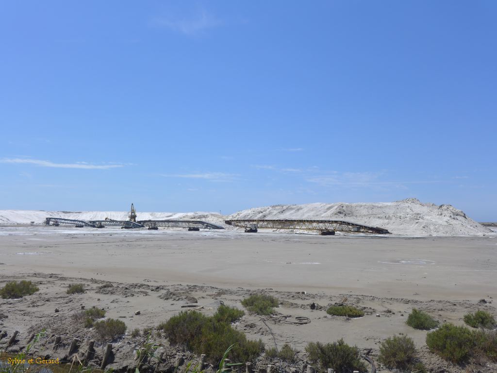Salins de Giraud 05