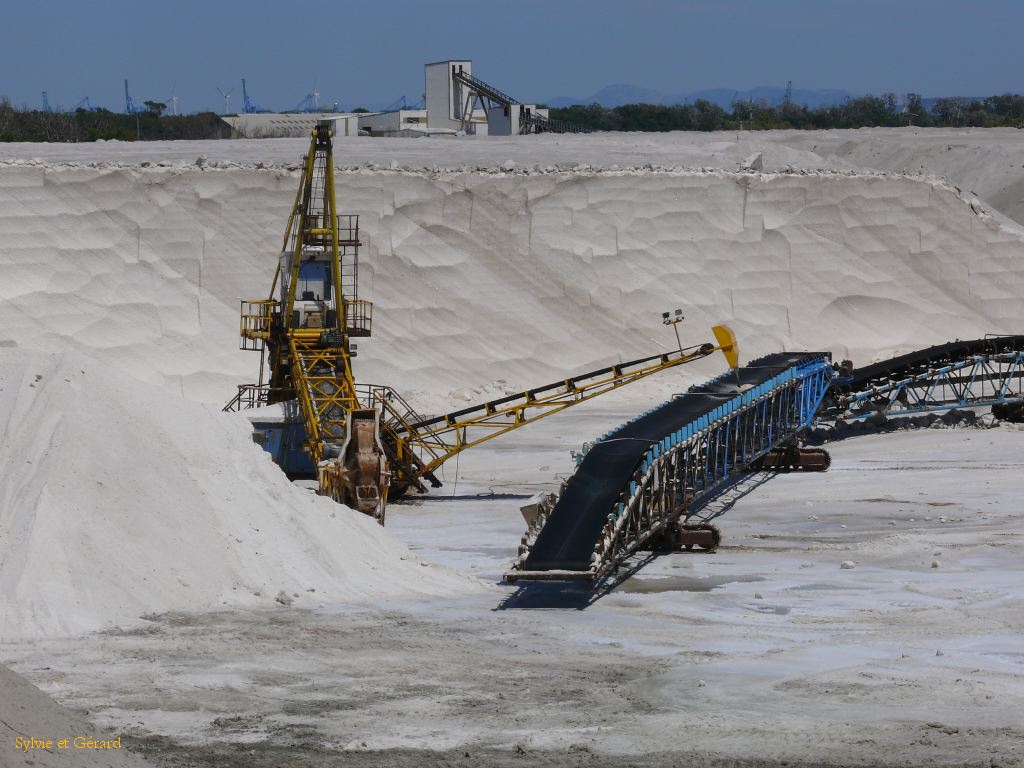 Salins de Giraud 06