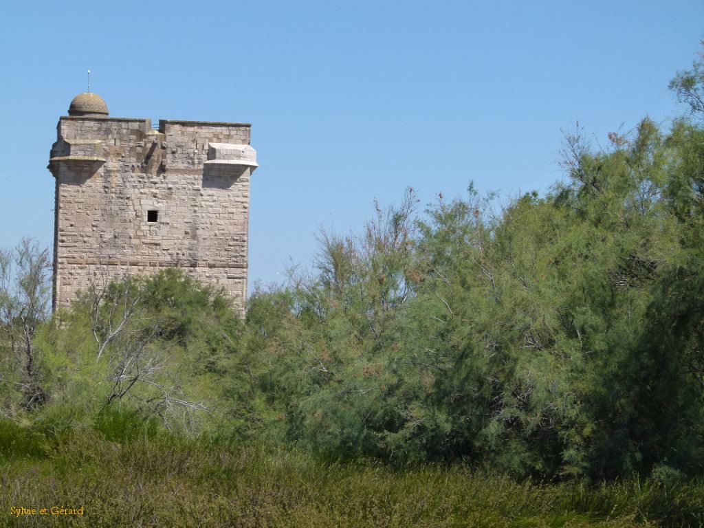 Tour Carbonnière 01