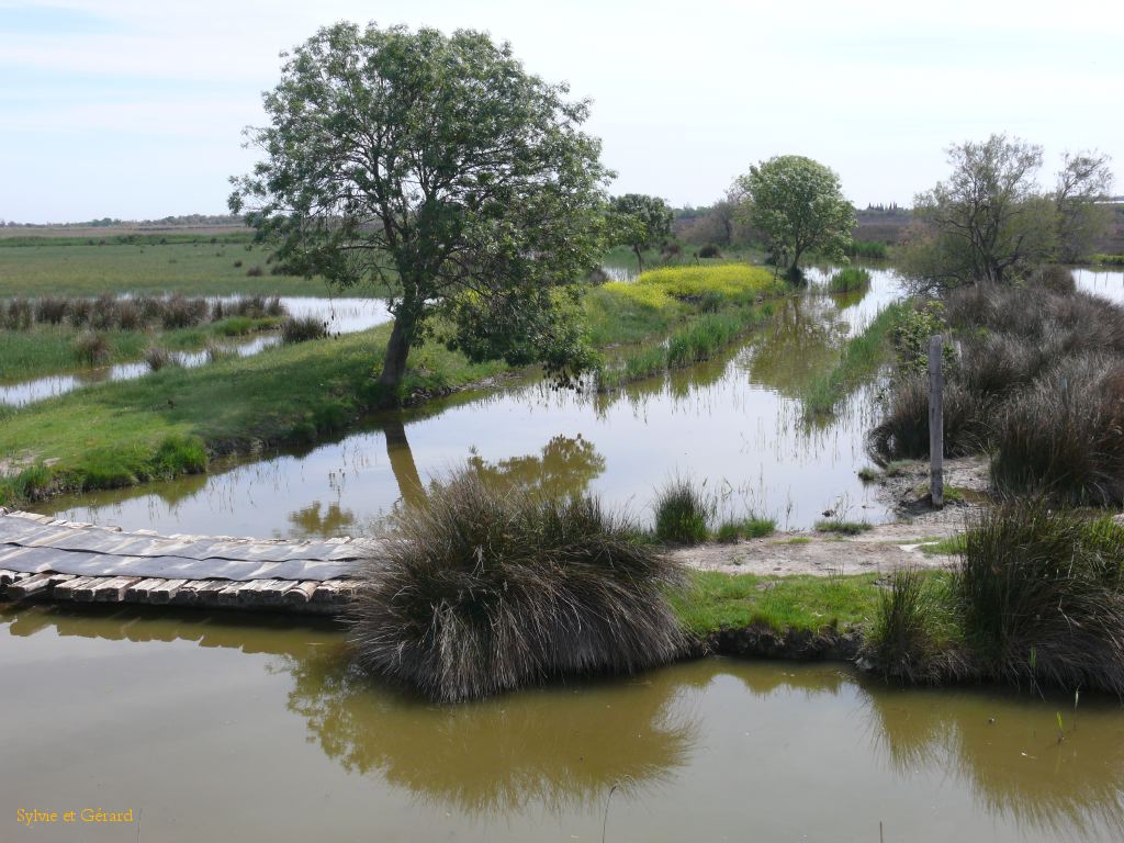 Tour Carbonnière 03