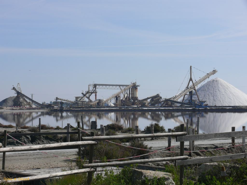 Aigues Mortes les Salins 08