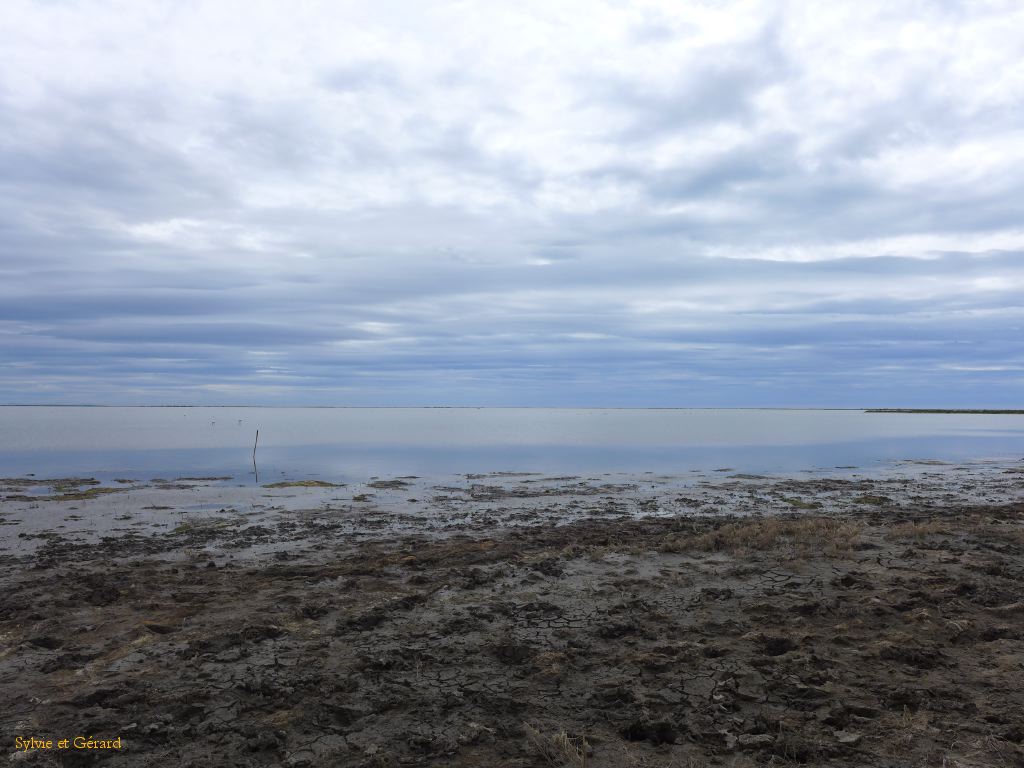 Etang du Vacarés 02