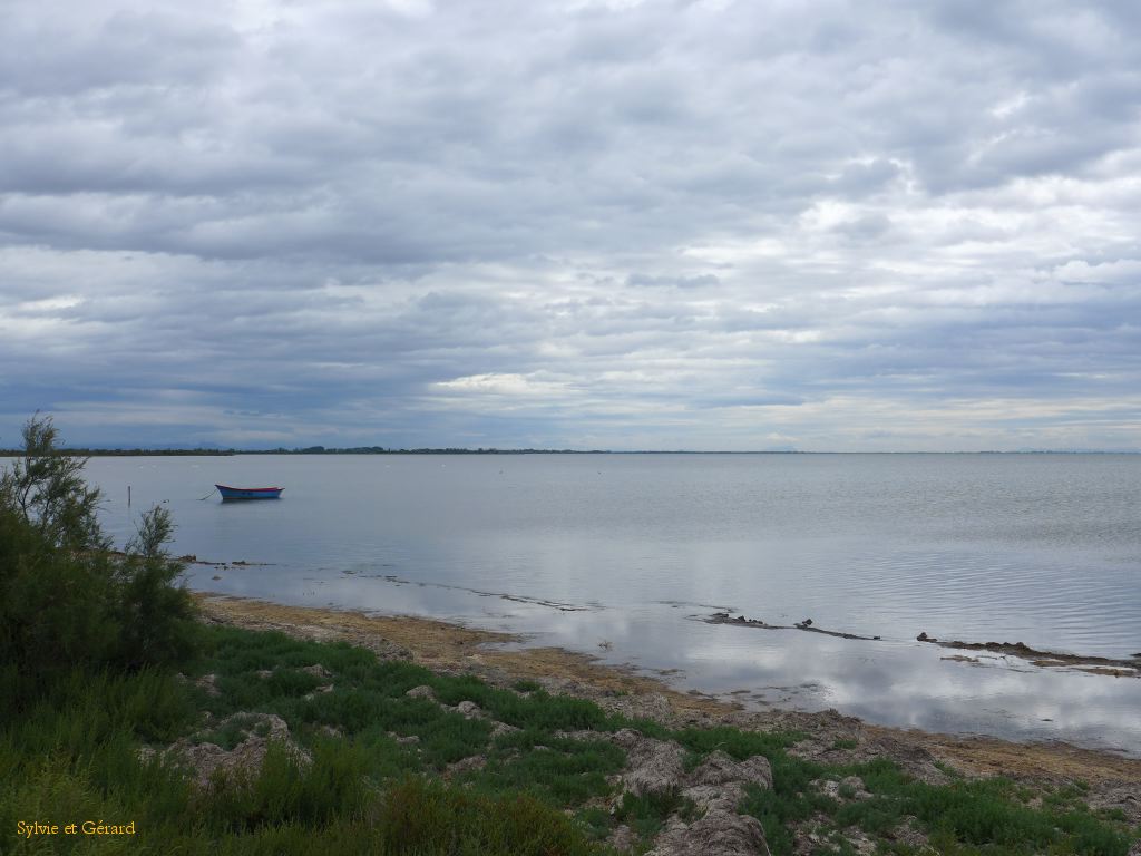 Etang du Vacarés 05