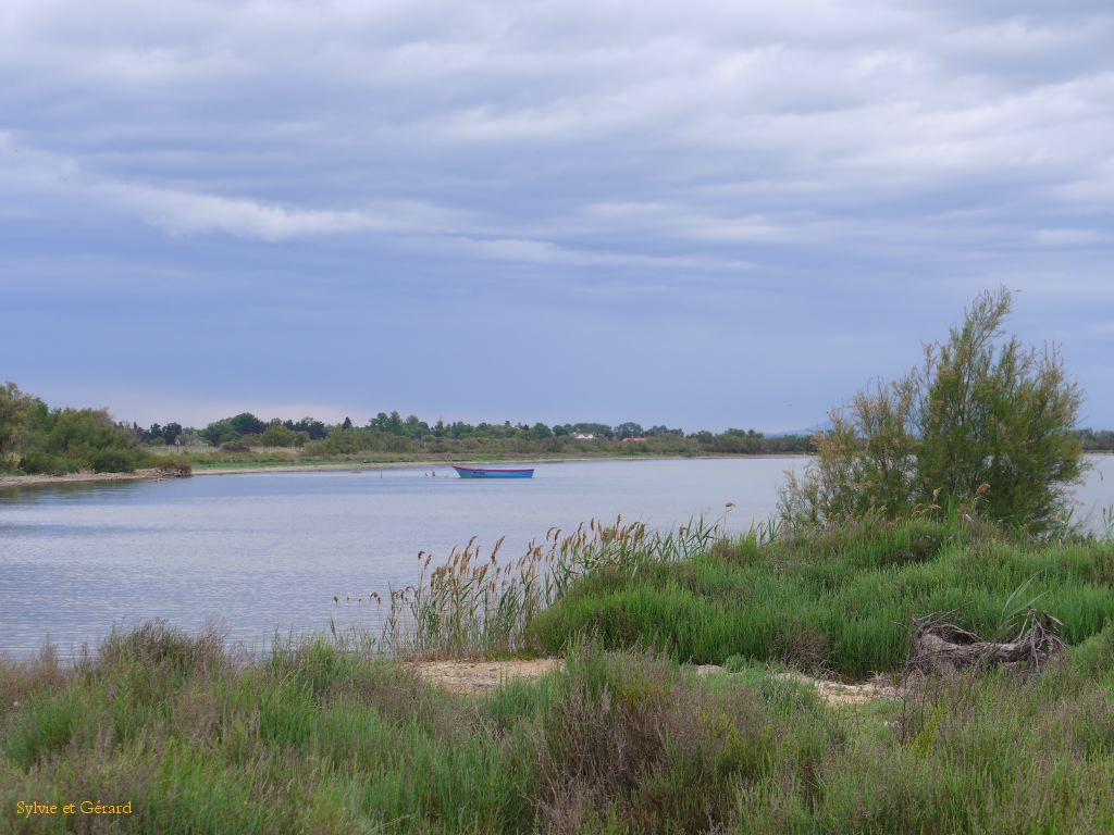 Etang du Vacarés 06