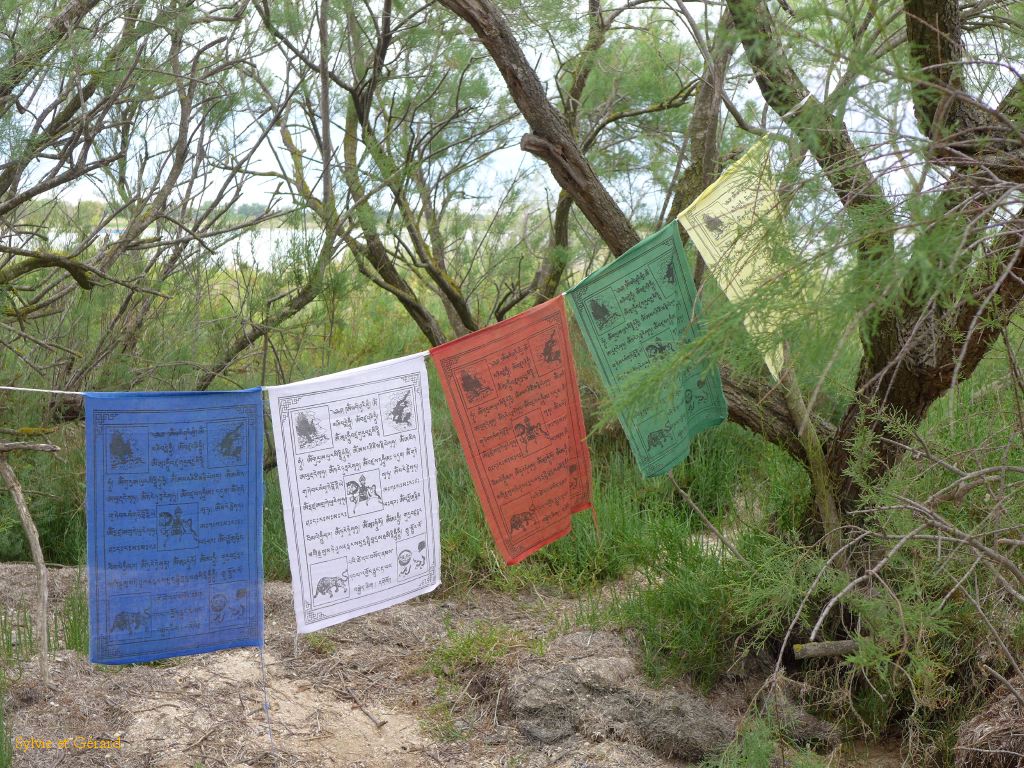 Etang du Vacarés 07