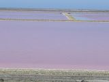 Salins de Giraud 01