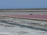 Salins de Giraud 03