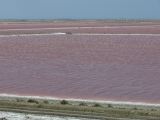 Salins de Giraud 04