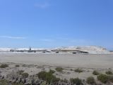 Salins de Giraud 05