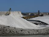 Salins de Giraud 07