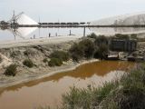 Aigues Mortes les Salins 04