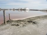 Aigues Mortes les Salins 05