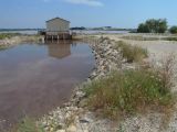 Aigues Mortes les Salins 07