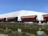 Aigues Mortes les Salins 09