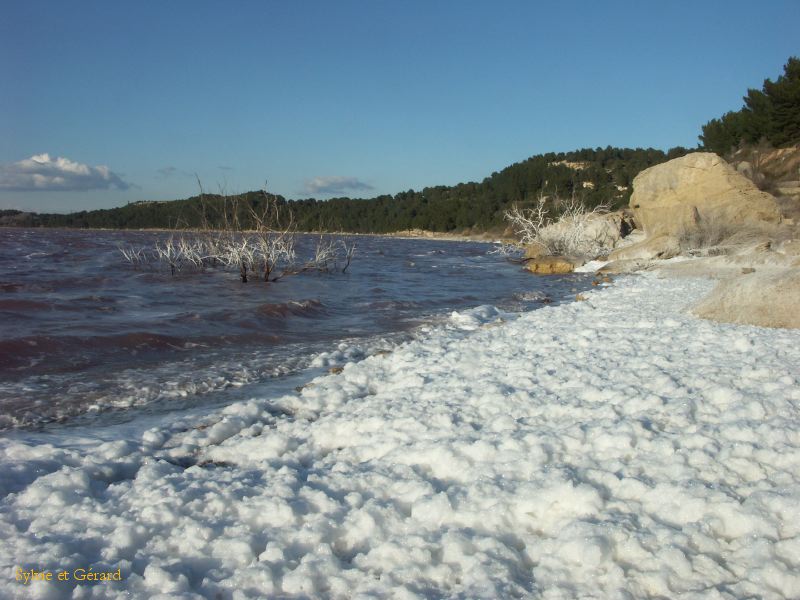 Etang de Lavalduc 005