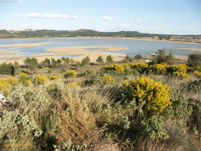 Etang du Pourra 001