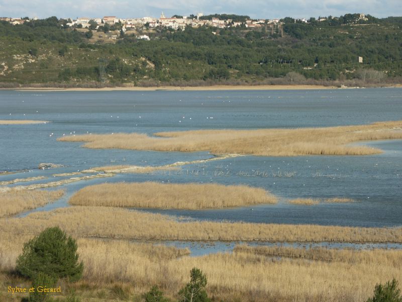 Etang du Pourra 002