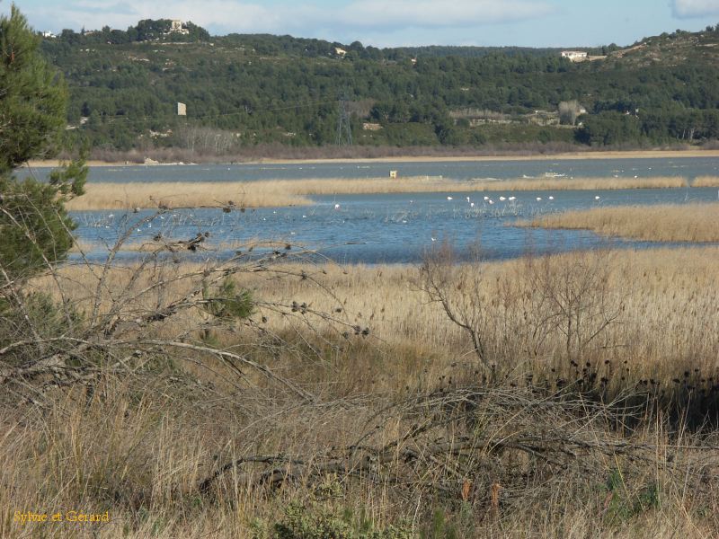 Etang du Pourra 003