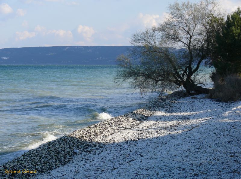 la plage aux coquillages 001