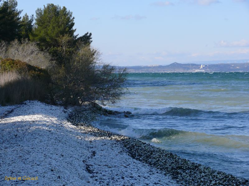 la plage aux coquillages 002