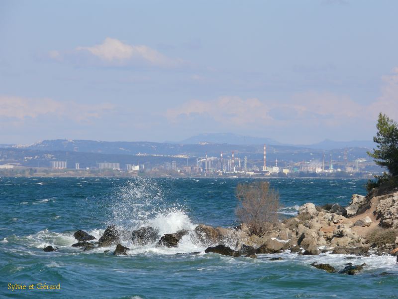 Vue sur l'Etang 001