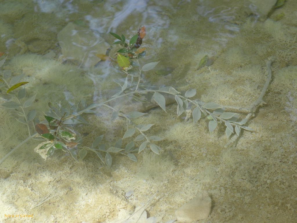 22 Source de l'Huveaune