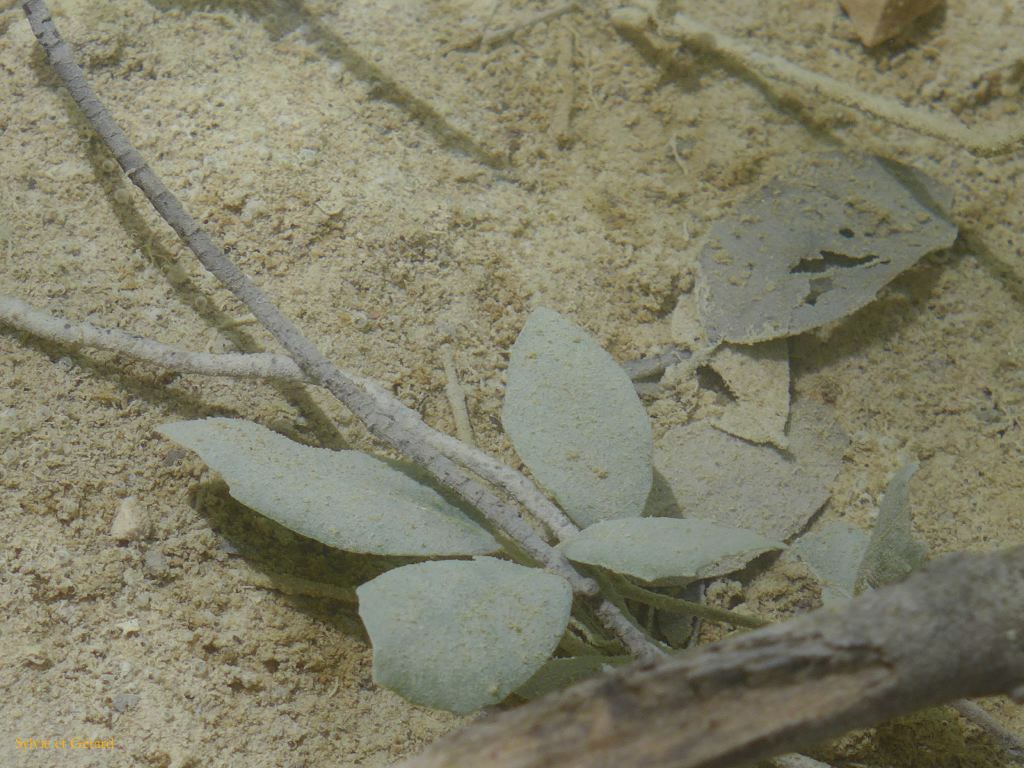 27 Source de l'Huveaune