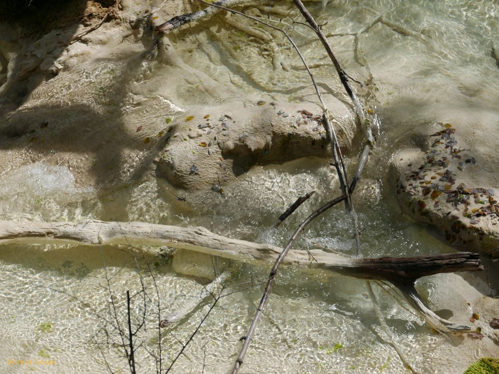 28 Source de l'Huveaune