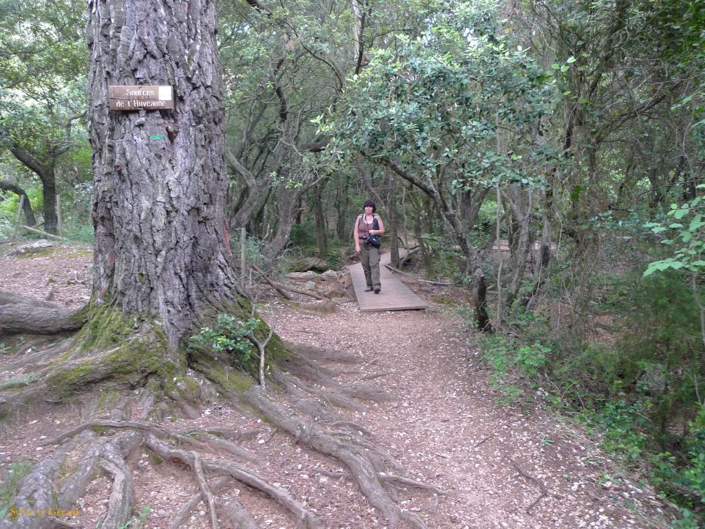 37 Source de l'Huveaune