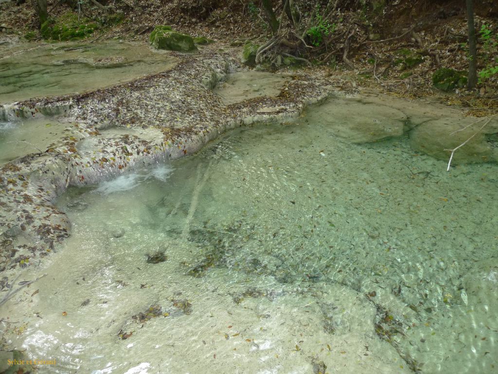 06 Source de l'Huveaune