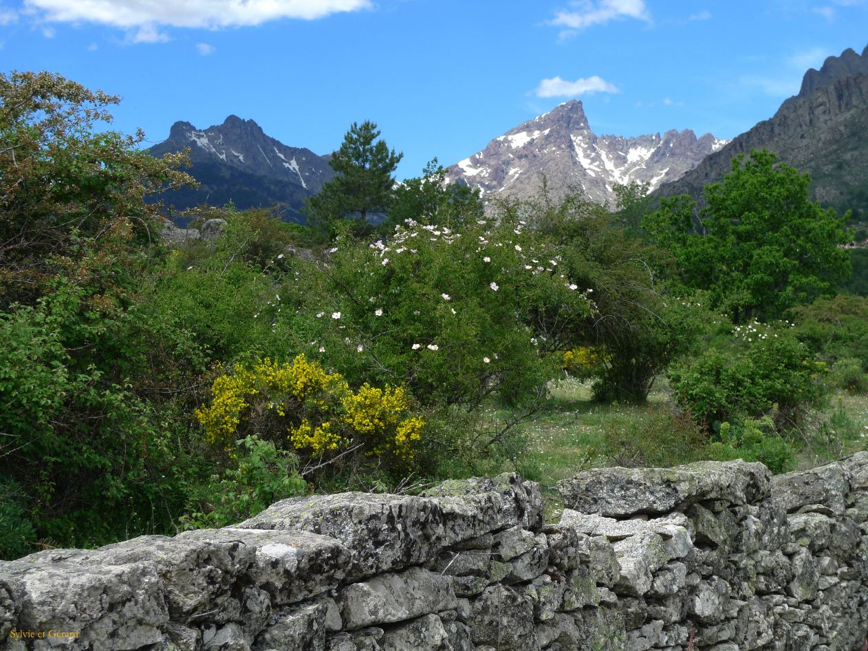 O Autour de Calacuccia Casamaccioli  014
