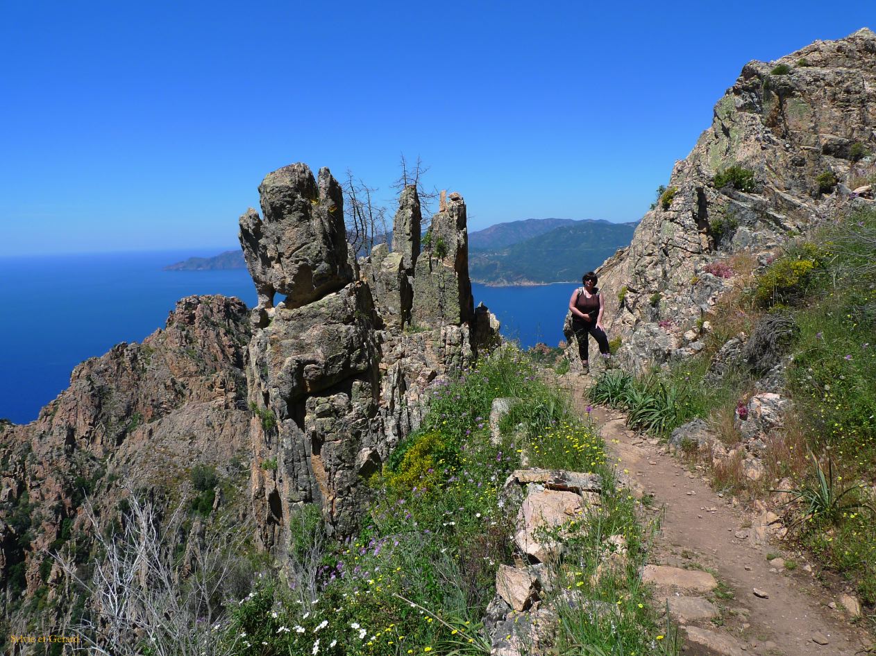 E Autour de Porto les Calanches de Piana  005