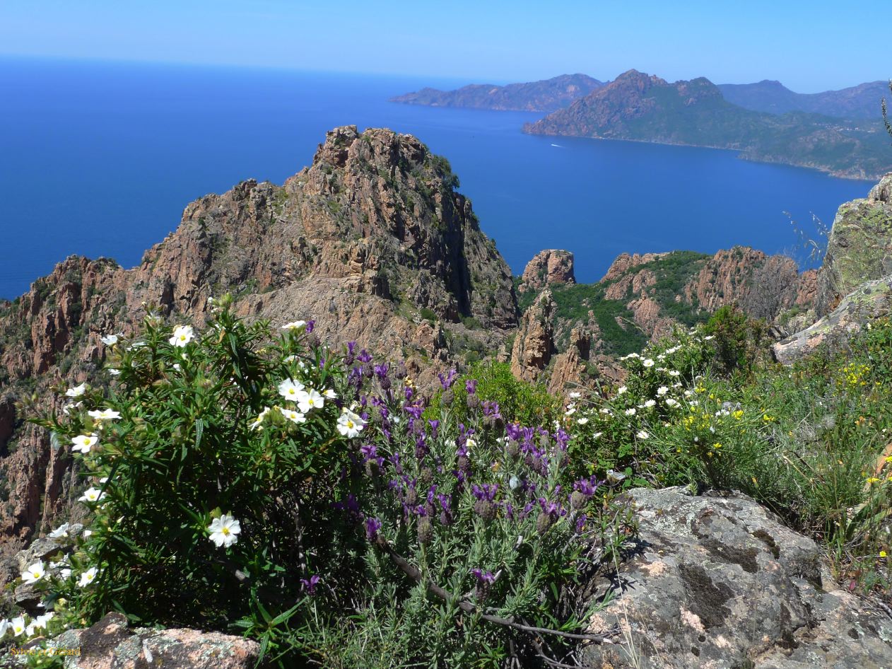 E Autour de Porto les Calanches de Piana  007