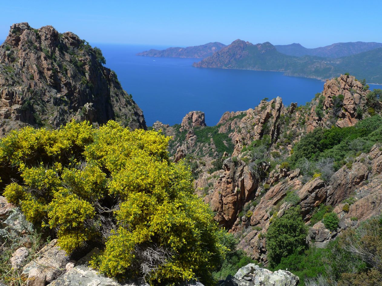 E Autour de Porto les Calanches de Piana  008