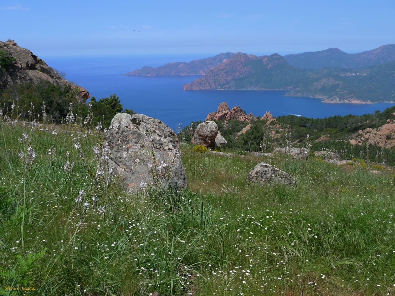 E Autour de Porto les Calanches de Piana  013