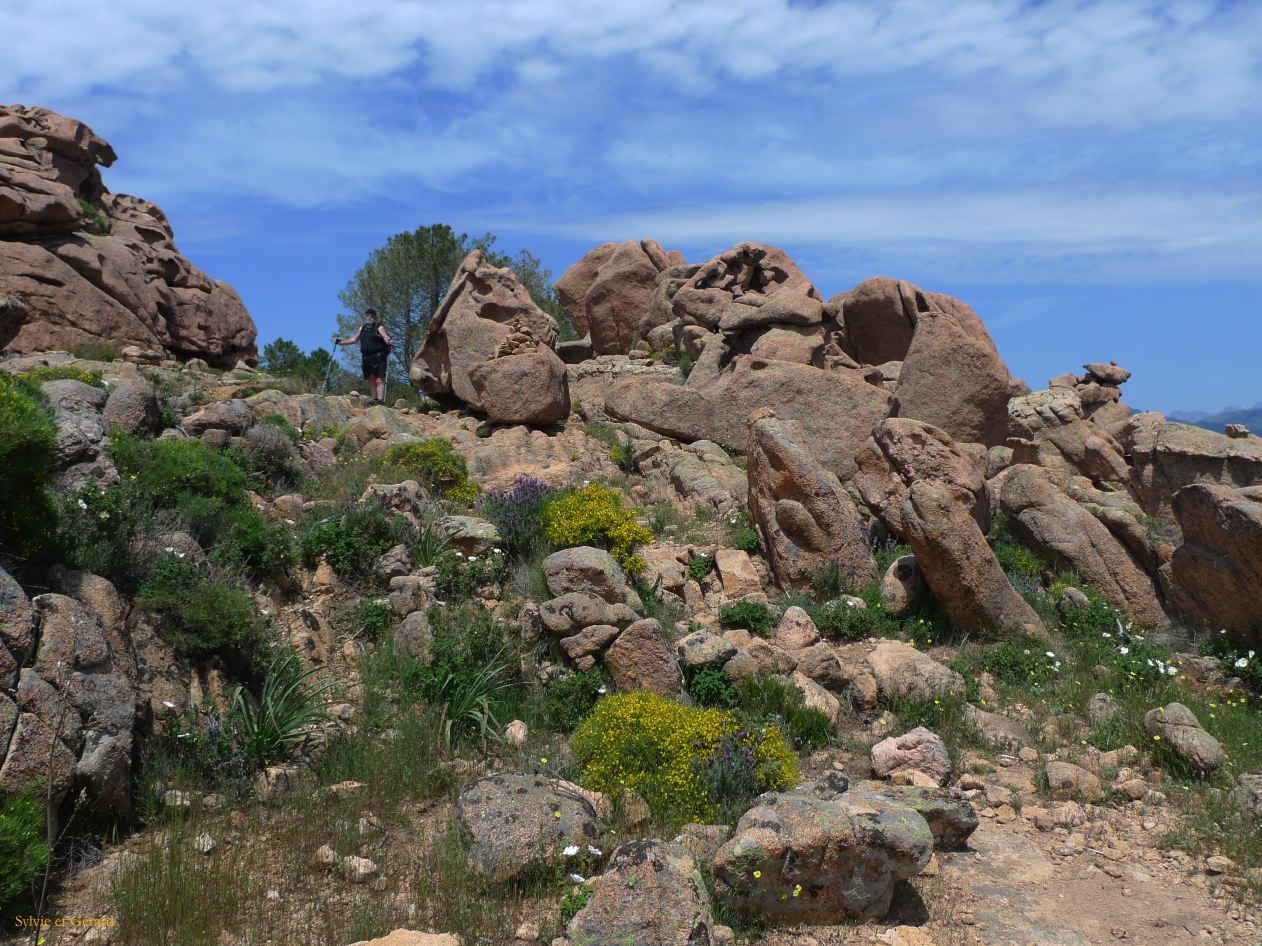 E Autour de Porto les Calanches de Piana  017