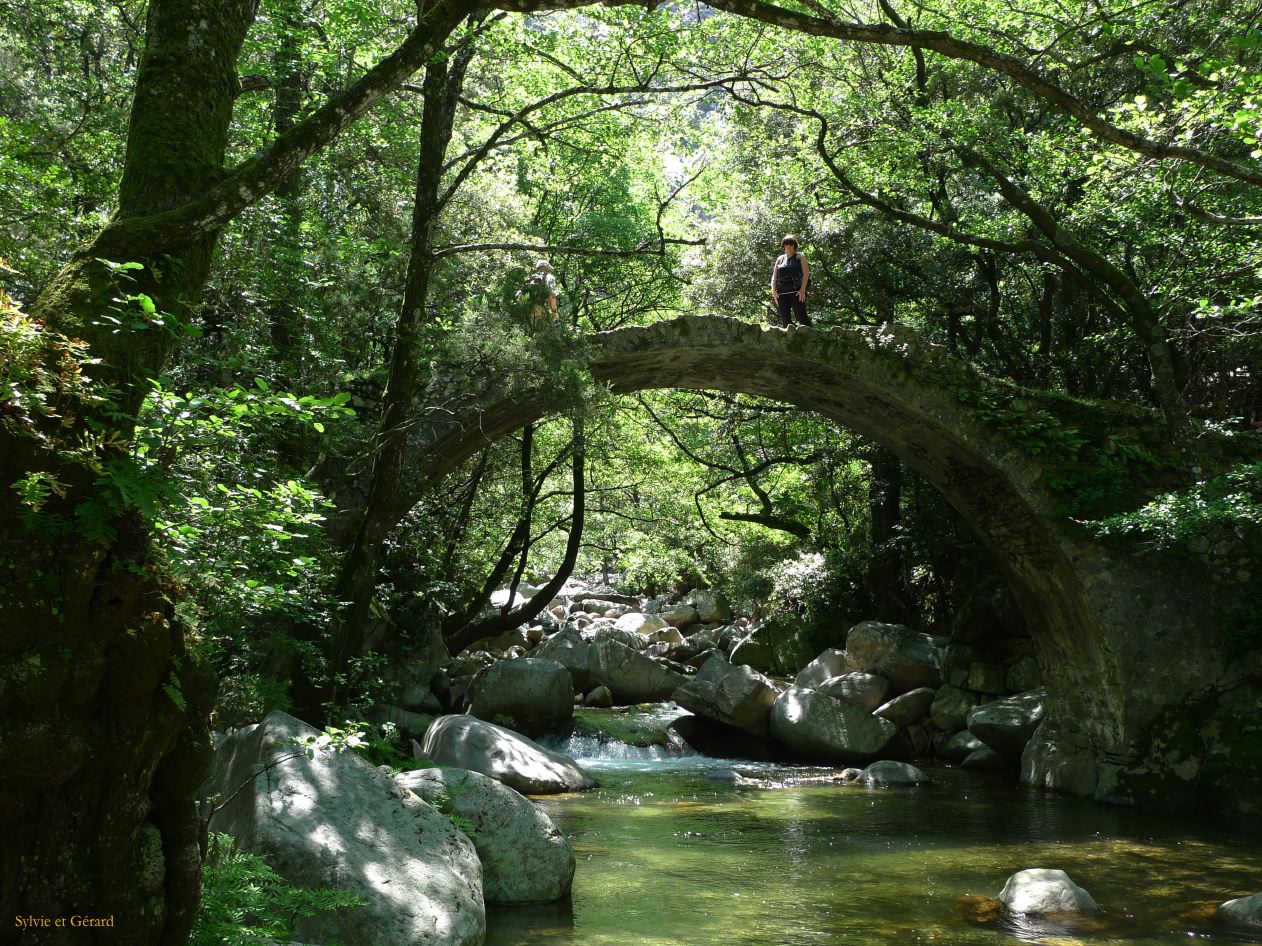 F Autour de Porto les Gorges de la Spelunca  006