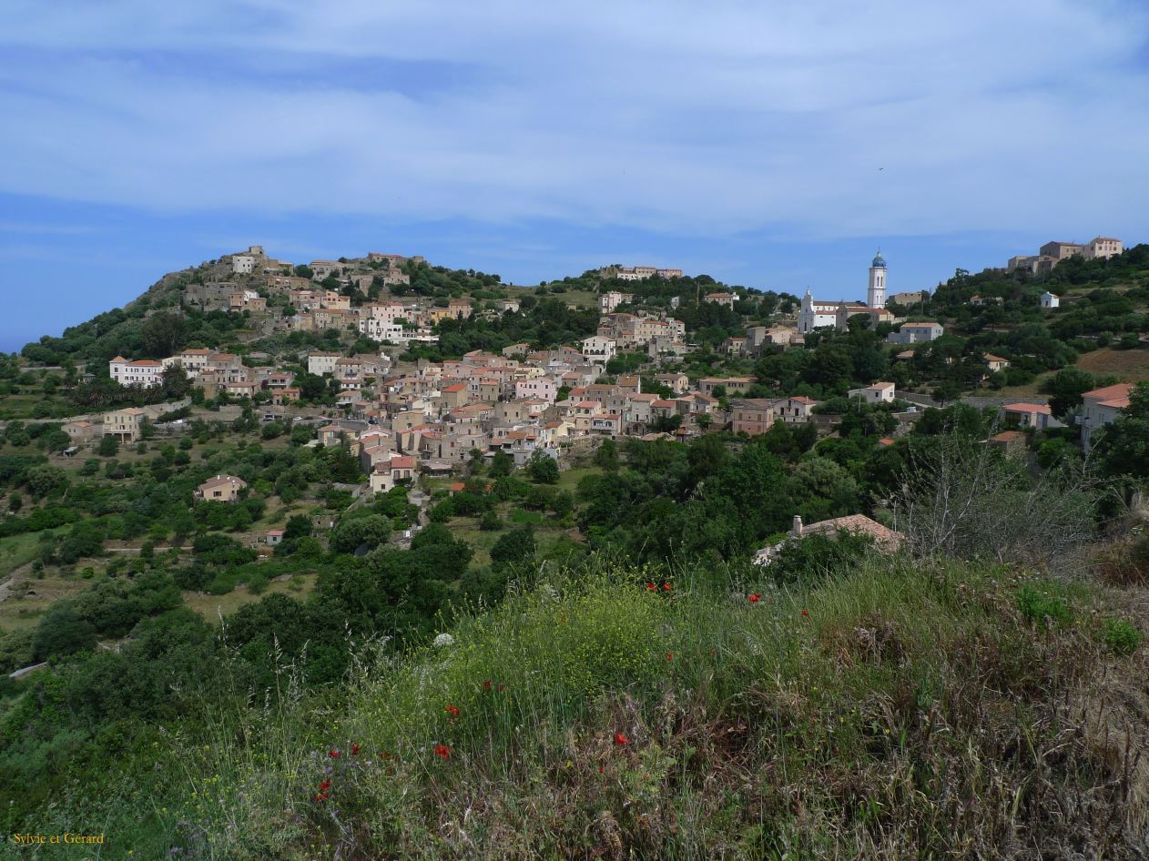 I Autour de Calvi Corbara  001