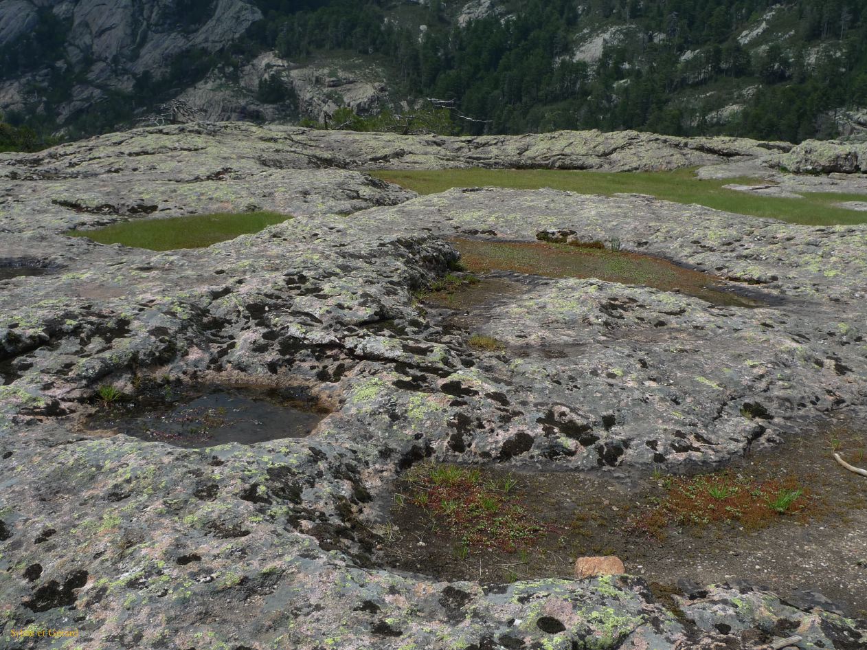 C Autour de Porto la fôret d'Aittone  001