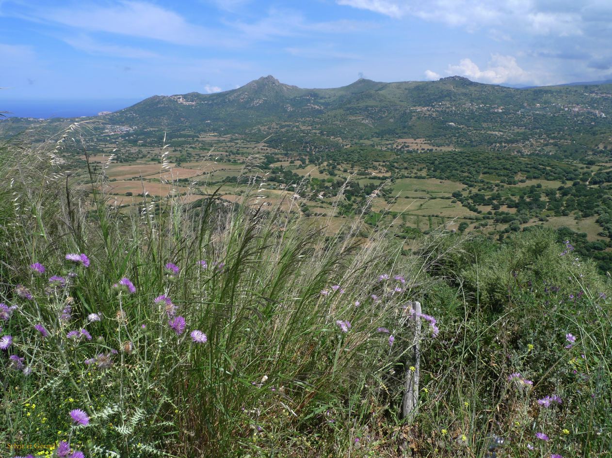 I Autour de Calvi Sant'Antonino balcon de la Balagne  007